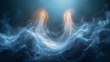 人生の幸福には形があるのでしょうか？